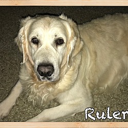 Thumbnail photo of Ruler (Deceased) #3