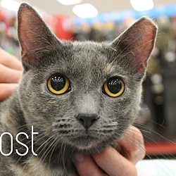 Photo of Ghost
