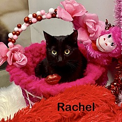 Photo of RACHEL