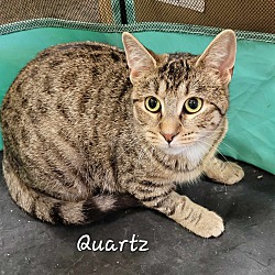 Thumbnail photo of Quartz #1