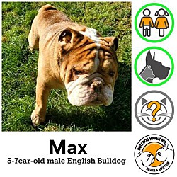 Thumbnail photo of Max #1