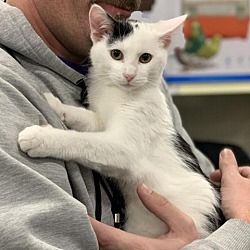 Shelter from the Storm Animal Rescue in Madison, Wisconsin