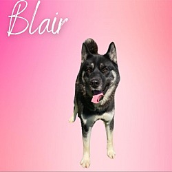 Photo of Blair