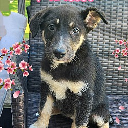 Photo of Princess