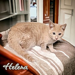 Thumbnail photo of Helena #3