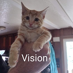 Photo of Vision