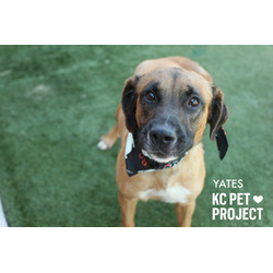 Thumbnail photo of Yates #3