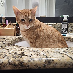 Photo of Leon