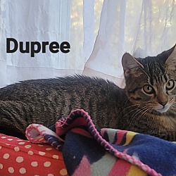 Photo of Dupree