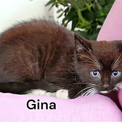 Thumbnail photo of Gina #2