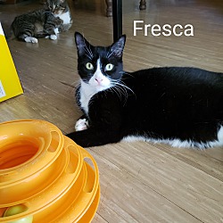 Photo of Fresca