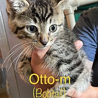 Photo of Otto 22