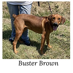 Thumbnail photo of Buster Browne #2
