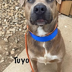 Thumbnail photo of Tuyo #2