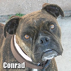 Thumbnail photo of Conrad #1