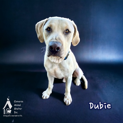 Photo of Dubie