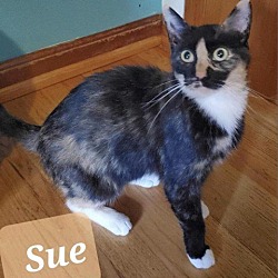 Photo of Sue