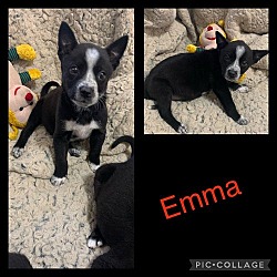 Thumbnail photo of Emma 5 #3