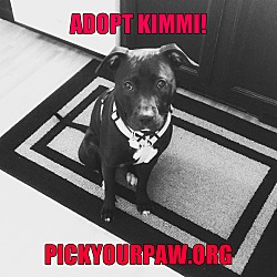 Thumbnail photo of KImmi #4