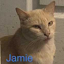 Photo of Jamie