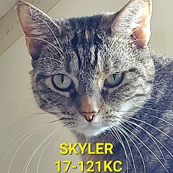 Photo of Skyler