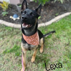 Thumbnail photo of Lexa #1