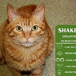 Photo of Shaker