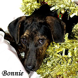 Thumbnail photo of Bonnie ~ meet me! #3