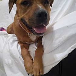 Photo of Princess