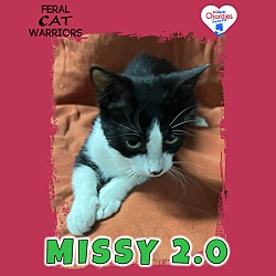 Photo of Missy 2.0