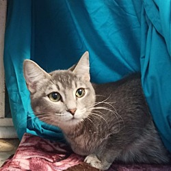 Photo of Nova