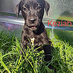 Thumbnail photo of Keziah #2