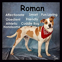 Photo of Roman