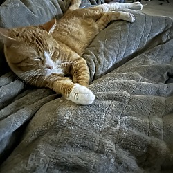 Photo of Oliver