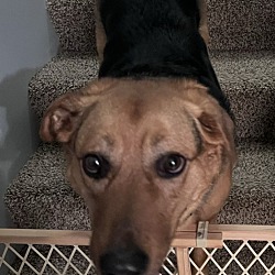 Photo of Ripley
