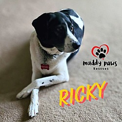 Photo of Ricky
