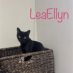 Thumbnail photo of LeaEllyn #2