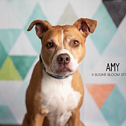 Thumbnail photo of Amy #1