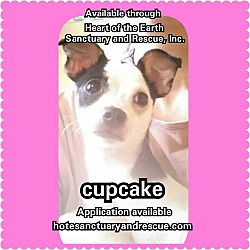 Thumbnail photo of Cupcake #3