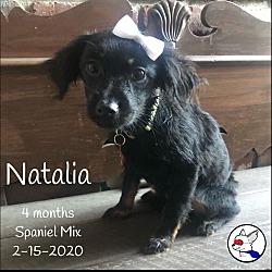 Thumbnail photo of Natalia #3