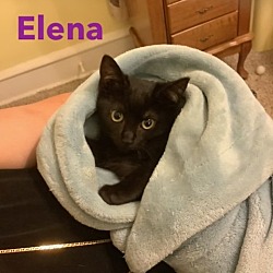 Photo of Elena, Willow Grove Area (FCID 03/22/2024-115)
