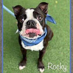 Thumbnail photo of ROCKY(R) #2