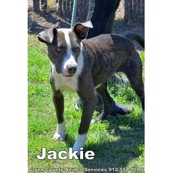 Photo of JACKIE