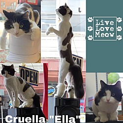Photo of Cruella "Ella"