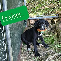 Photo of Fraiser