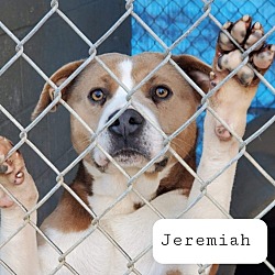 Photo of Jeremiah