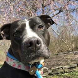 Photo of Lola