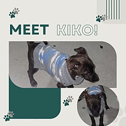 Photo of Kiko