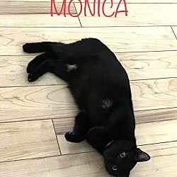 Thumbnail photo of Monica #2