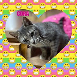 Thumbnail photo of Cora #2